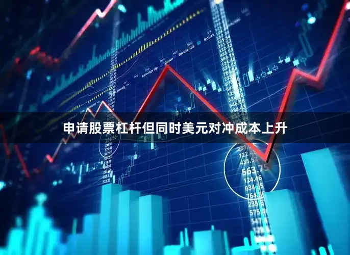 申请股票杠杆但同时美元对冲成本上升