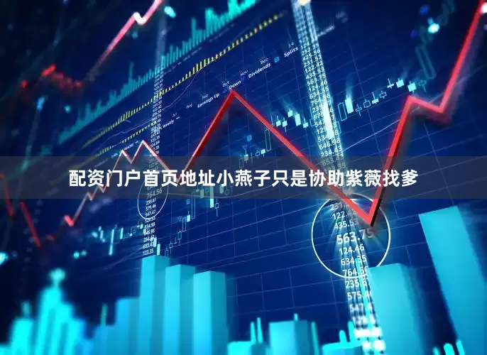 配资门户首页地址小燕子只是协助紫薇找爹