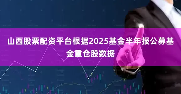 山西股票配资平台根据2025基金半年报公募基金重仓股数据