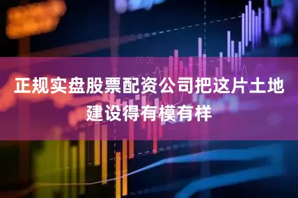 正规实盘股票配资公司把这片土地建设得有模有样