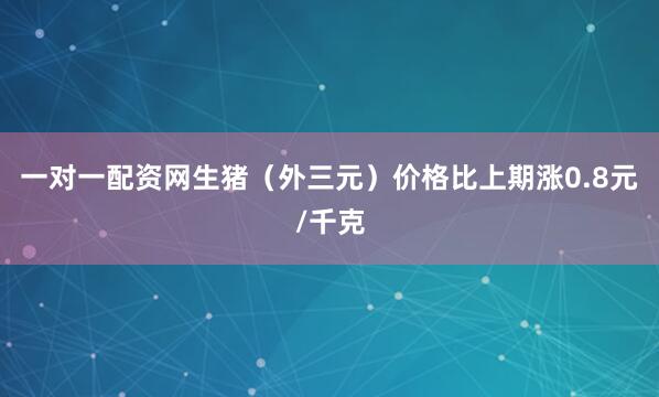 一对一配资网生猪（外三元）价格比上期涨0.8元/千克